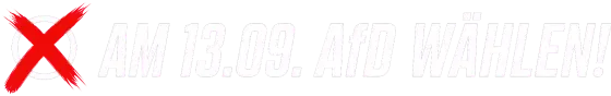 Am 13.09. AfD wählen!